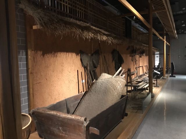 中共岳阳南湖风景区工作委员会旅行图片 14