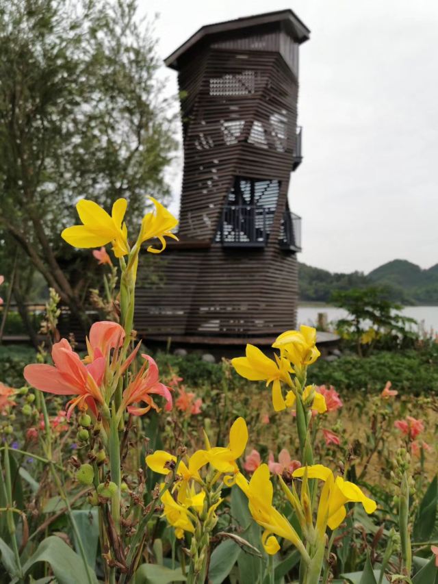 金钟水库旅行图片 4
