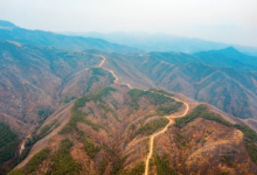二龙什台国家森林公园景点图片