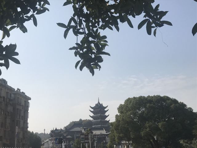 玉泉寺旅行图片 1