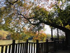 八大山人梅湖景区-南昌-YoYo_6W8J5W2L