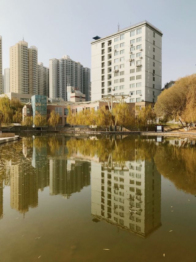 雁滩公园旅行图片 1