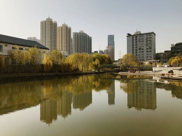 雁滩公园旅行图片 2