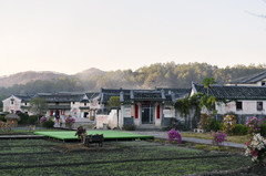 大埔游记图片] 广东梅州大埔：偏远的小县城却是人间的世外田园