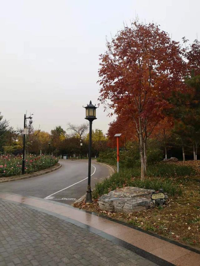 西局玉璞园旅行图片 4