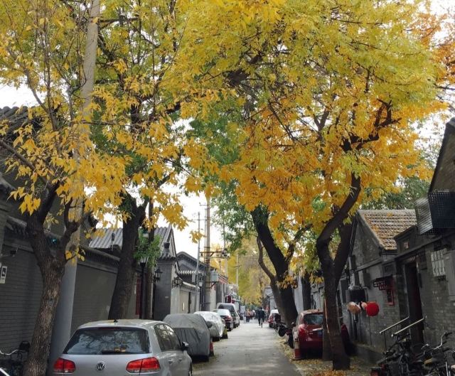 北锣鼓巷旅行图片 3