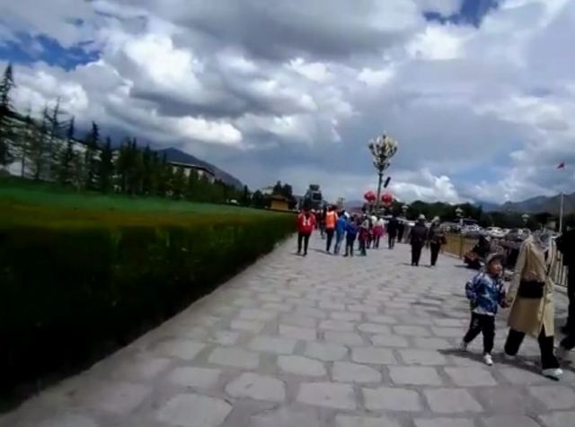 新铜牛广场旅行图片 1