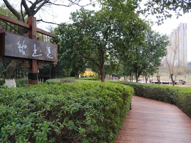 艾溪湖森林湿地公园旅行图片 2