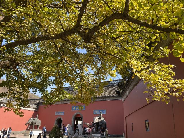 栖霞禅寺牌坊旅行图片 4