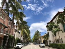 小哈瓦那-迈阿密-东张西望望东西