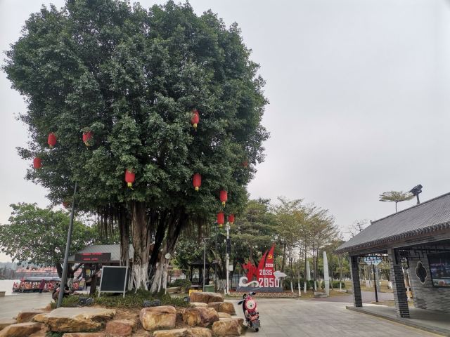 华阳湖国家湿地公园旅行图片 2