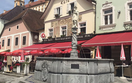 Cafe Restaurant zum Fürsten