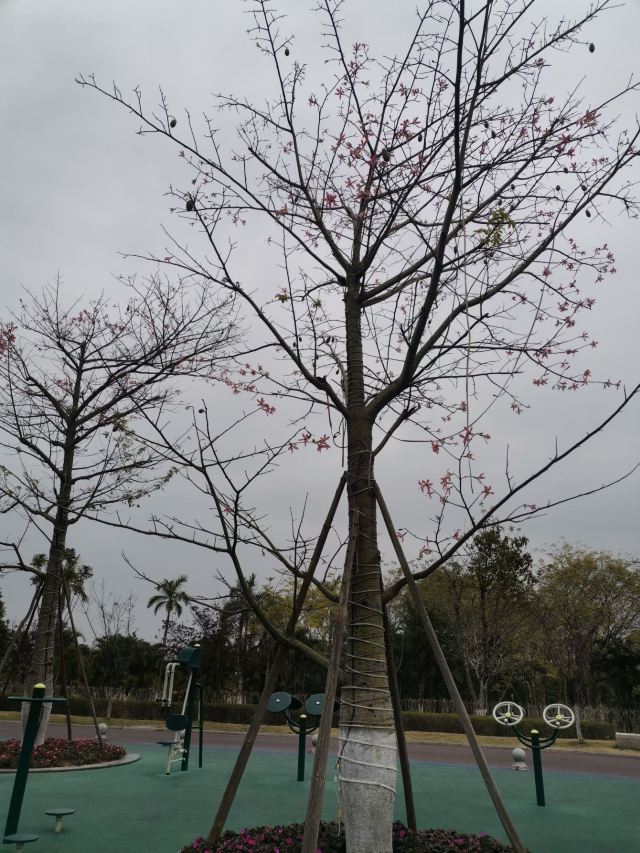 华阳湖国家湿地公园旅行图片 5