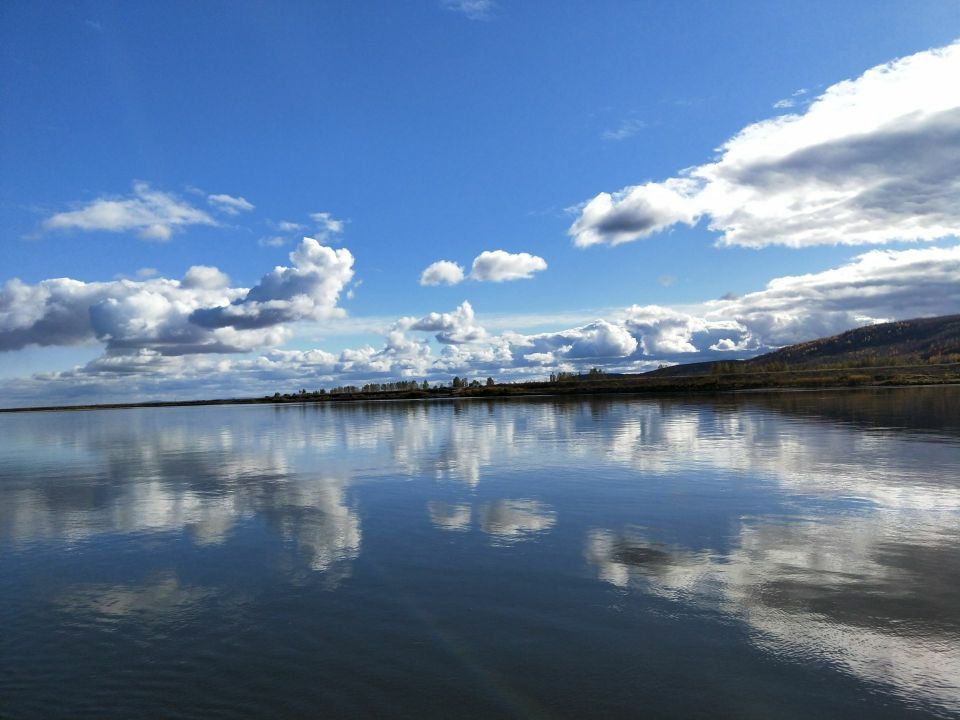 嘉荫县向阳乡黄鱼卧子村鱼乡美杨家小院餐厅图片