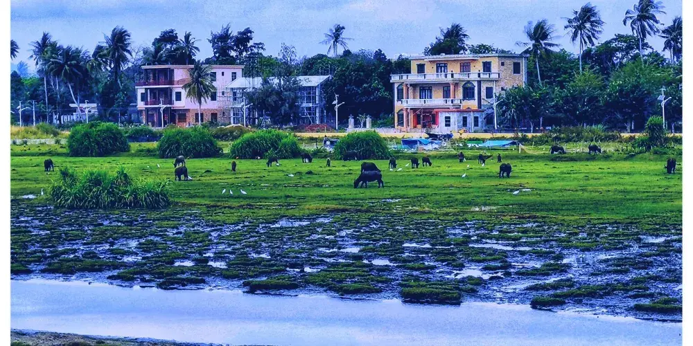 永安旅遊