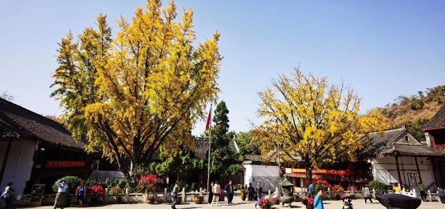 栖霞禅寺牌坊旅行图片 6