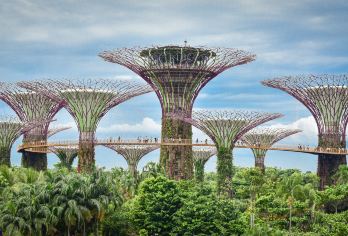 新加坡滨海湾花园+鱼尾狮地标+文化街区+欧风建筑一日游【一站式打卡热门景点，探索花园城市的摩登与多元文化（经济高效，全程专车；高效打卡，省去规划）】