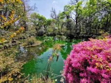 桃源村-大理市-马仁小屋