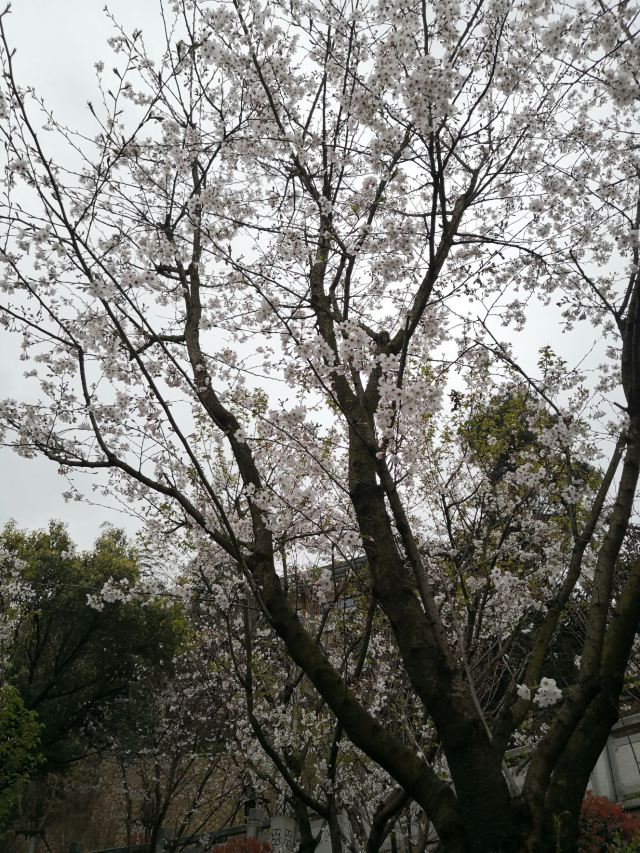 松溪河湿地公园旅行图片 3