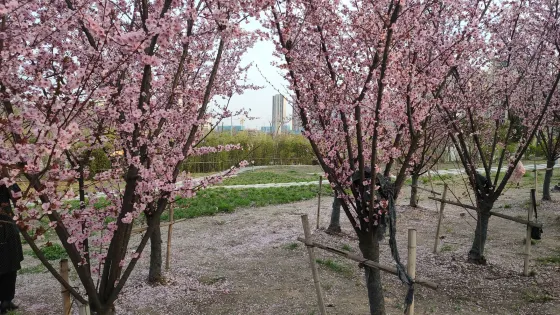 水門塘公園