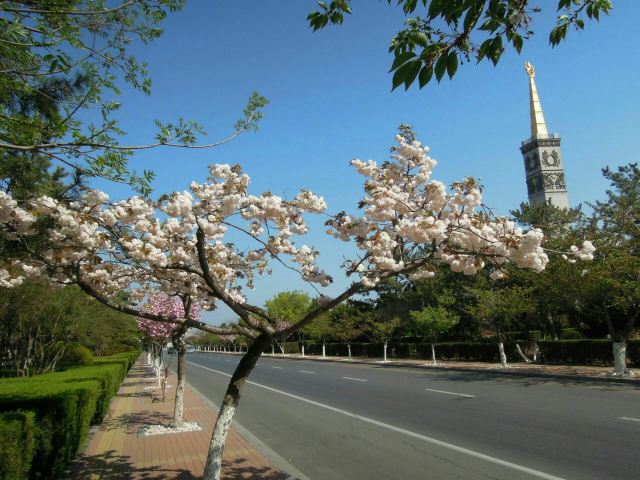 胜利塔旅行图片 1