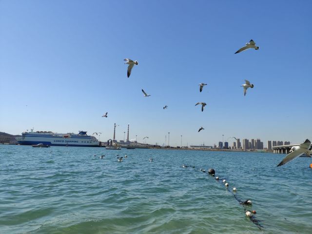 滨海公园旅行图片 2