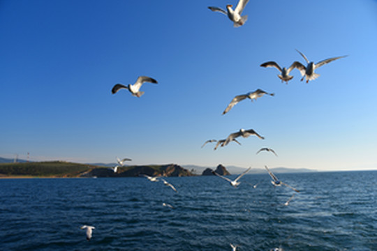 贝加尔湖游记图文-贝加尔湖行——奥利洪岛（上）