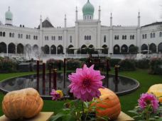 哥本哈根-非你不渴