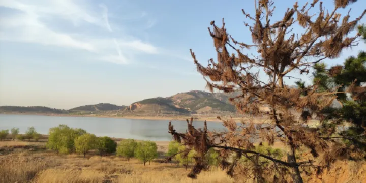 嶗山華樓遊覽區