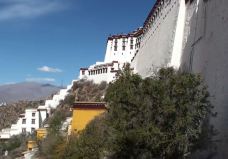 布达拉宫白宫-拉萨-enjoyzent