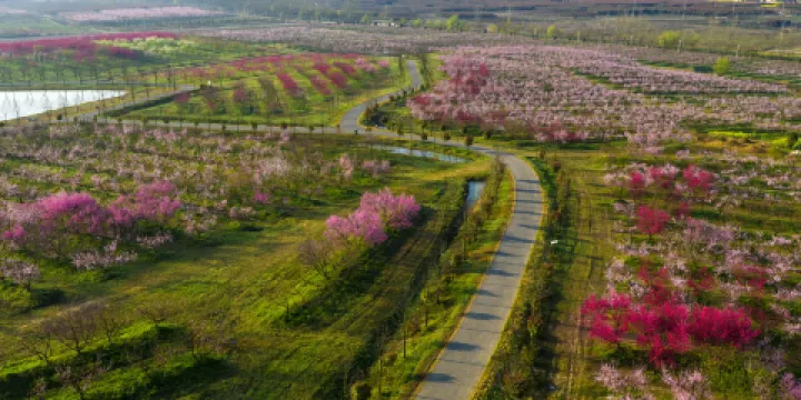 桃蹊水果農場(三十崗基地)