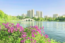 龟湖公园-石狮-doris圈圈