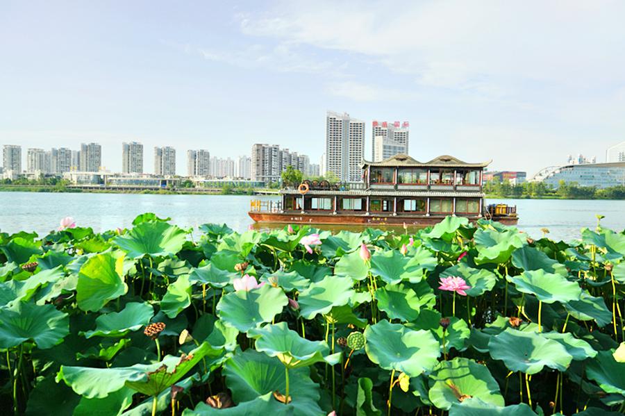 2-Day Suining Tour: Explore Jurassic Relics, Taste Shede Culture