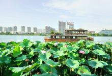 观音湖景区景点图片