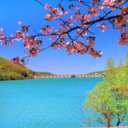 北海道小樽：神威岬+积丹半岛+青之洞窟【中文包车-不拼团】