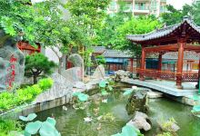 逸颐艺舍博物馆景点图片