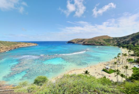 【包车】珍珠港纪念馆+钻石头山+坦塔罗斯观景台一日游【私人包车游-尊享8小时-中文VIP包车服务-下单后出发时间-市区行程皆可灵活调整】