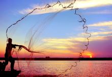 鄱阳湖国家湿地公园景点图片