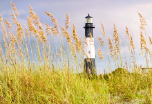 Tybee Island Light Station & Museum景点图片