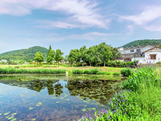 不老村