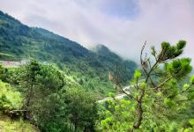 陇南香山自然保护区景点图片