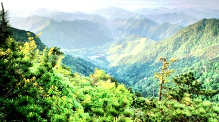 天目山景区