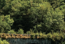 Ponte dei Bruni景点图片