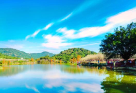 萝岗香雪公园景点图片