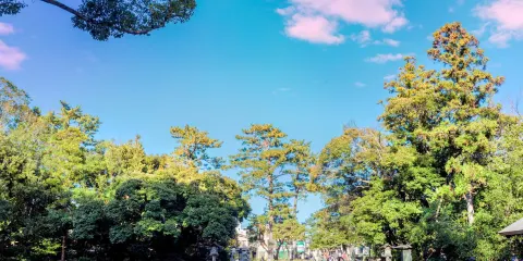 豐受大神宮（外宮）