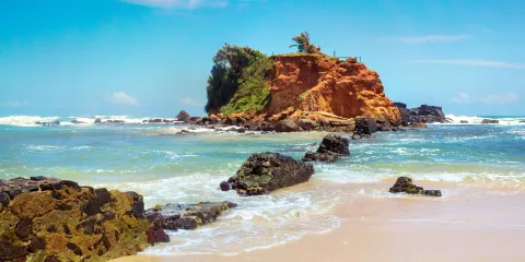 Parrot Rock觀景台