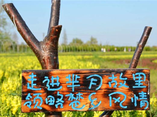 同心花海