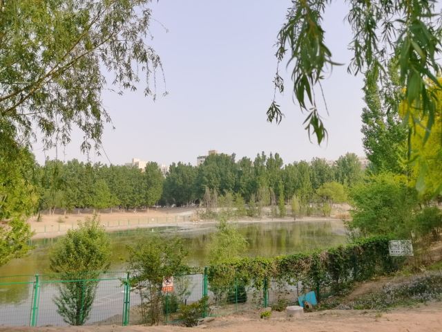 奥北森林公园二期北区旅行图片 4