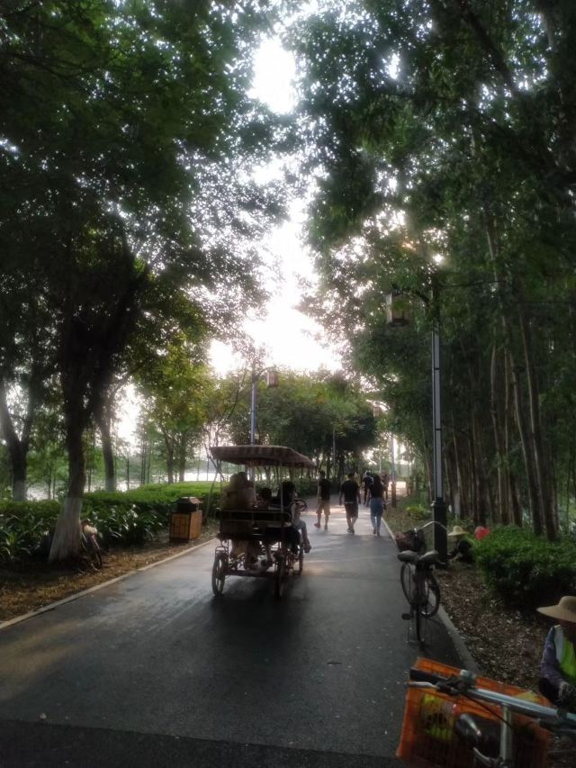 华阳湖国家湿地公园旅行图片 4