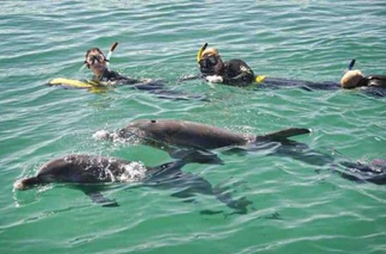 澳大利亚珀斯都有哪些不容小觑的旅游景点